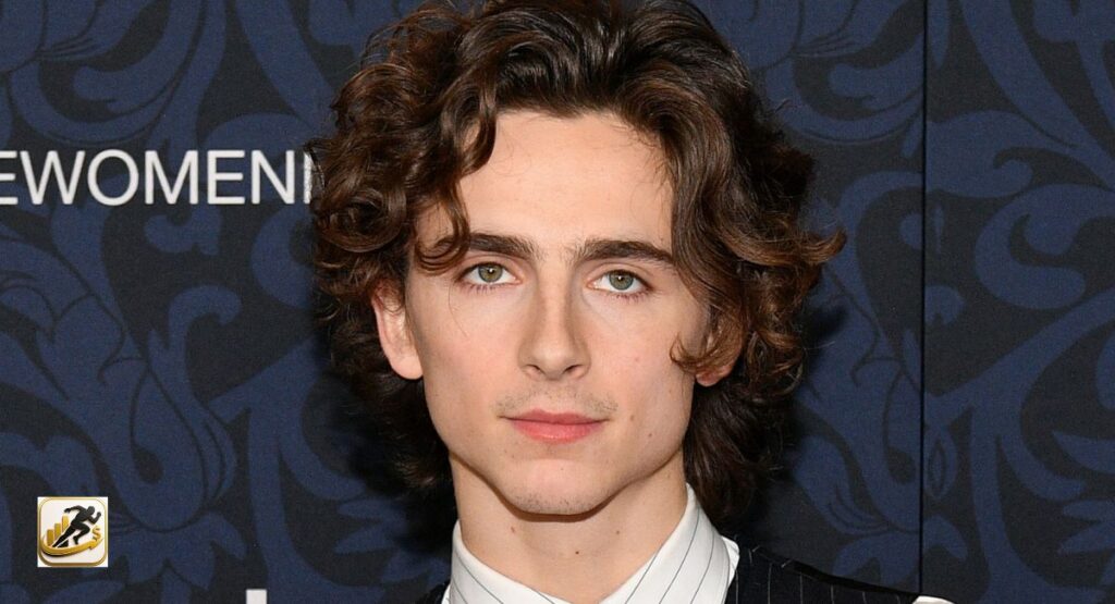 Timothée Chalamet Net Worth
